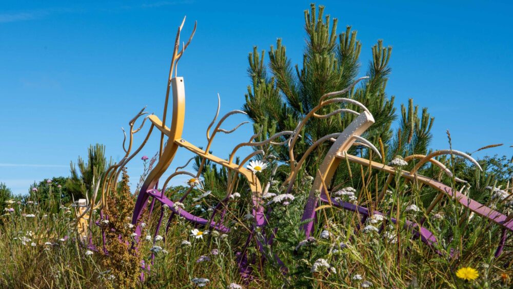 Angharad Pearce Jones